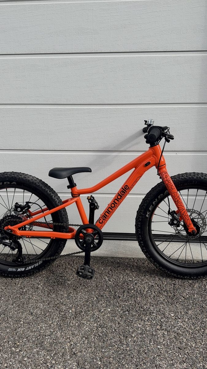Veicoli per bambini: Cannondale hard trail 20" – Nuovo (secondo la descrizione) da Orges venduto da lat_l28l