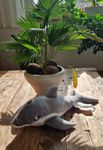 Delfin Plüschi von Ikea
