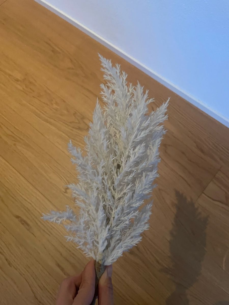 Tutte le decorazioni: Vase mit künstlichem Pampasgras – Usato da Kilchberg BL venduto da ann_kwk5 1