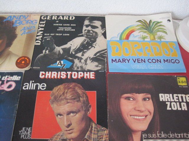 Dischi in vinile: 94 VINYLES 45 TOURS – Usato da Murten venduto da Selliot 7