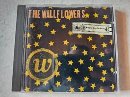 The Wallflowers  -  Bringing Down The Horse