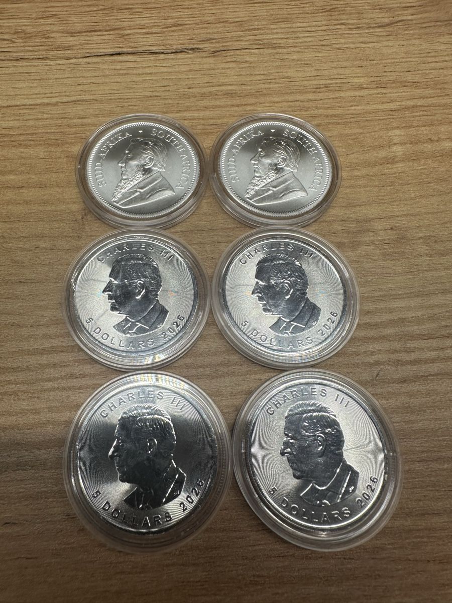 Tutti le monete: 6 x 1 Oz Silbermünzen – Nuovo e nell'imballaggio originale da Blumenstein venduto da SnB41 1