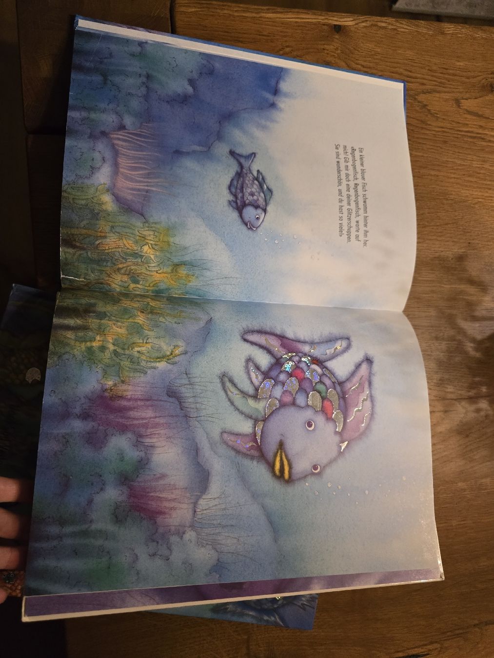 Libri: 2 Kinderbücher "Der Regenbogenfisch" set – Usato da Wittenbach venduto da Tigerlili 5