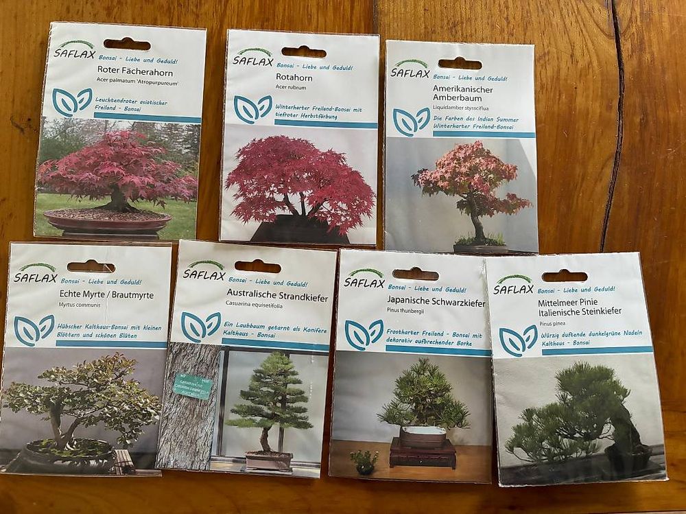 Bonsai Samen Kaufen