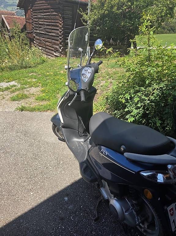 Scooter: Piaggio Fly 125 – Usato da Felsberg venduto da GnosKenneth 1