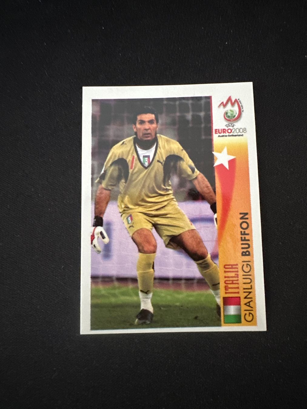 Panini Carte collezionabili: Panini UEFA EM 2008 Sticker - Nr. 462 – Usato da Sulz AG venduto da DealWerk