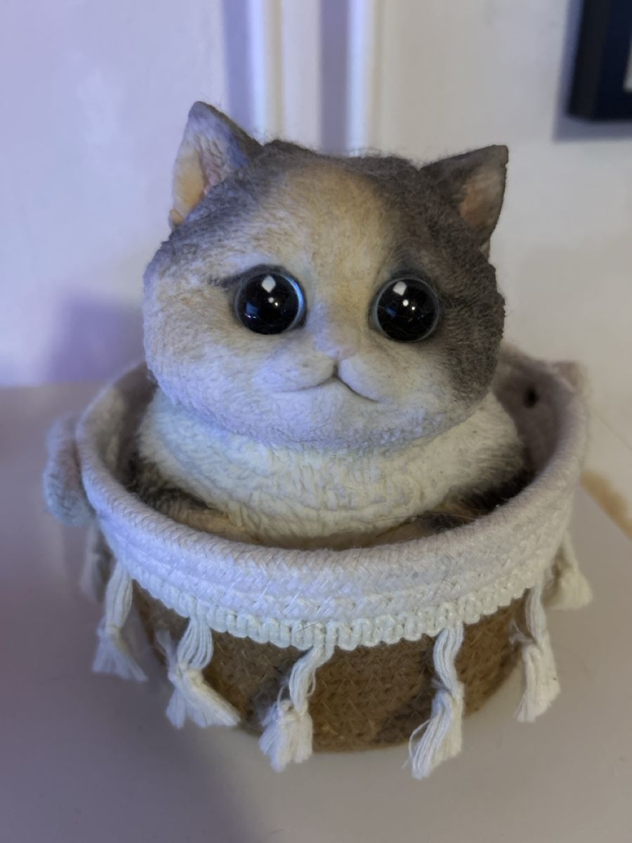 Spielzeuge: Taba Squishy Katze im Korb – anti Stress Squishy – Neu (gemäss Beschreibung) aus Rorschach von Xenia_6qjs