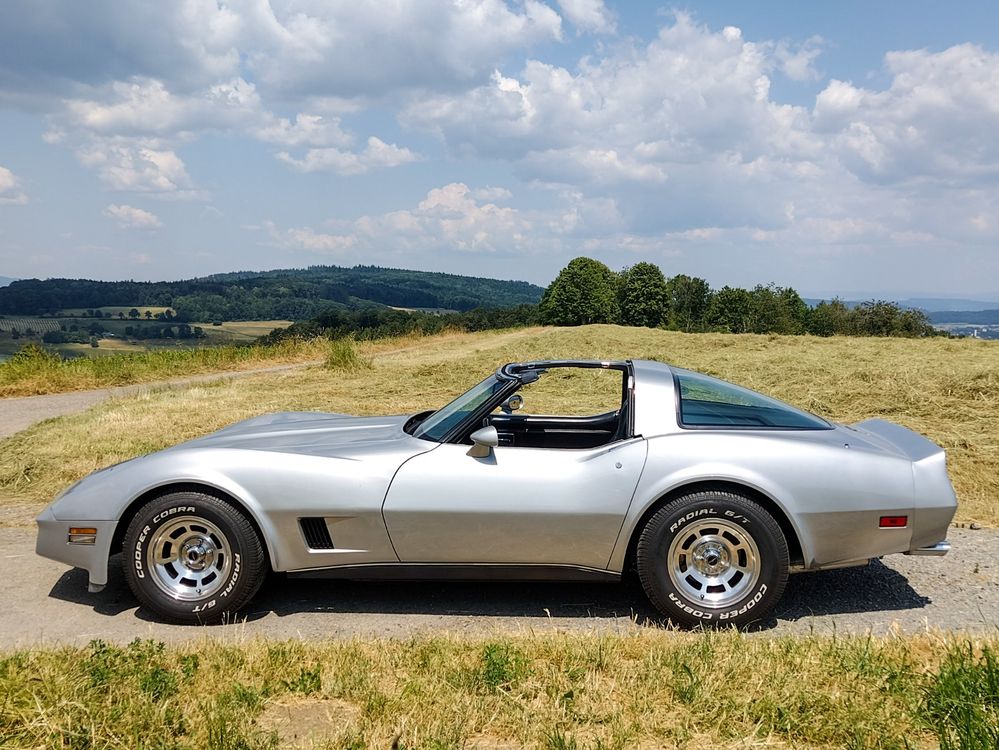 CHEVROLET CORVETTE C3 Targadach