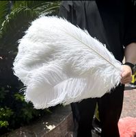 Ostrich Feathers Strauss Feder Weiss Dekoration