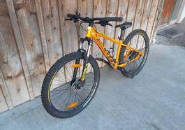 Scott Fahrrad/Velo