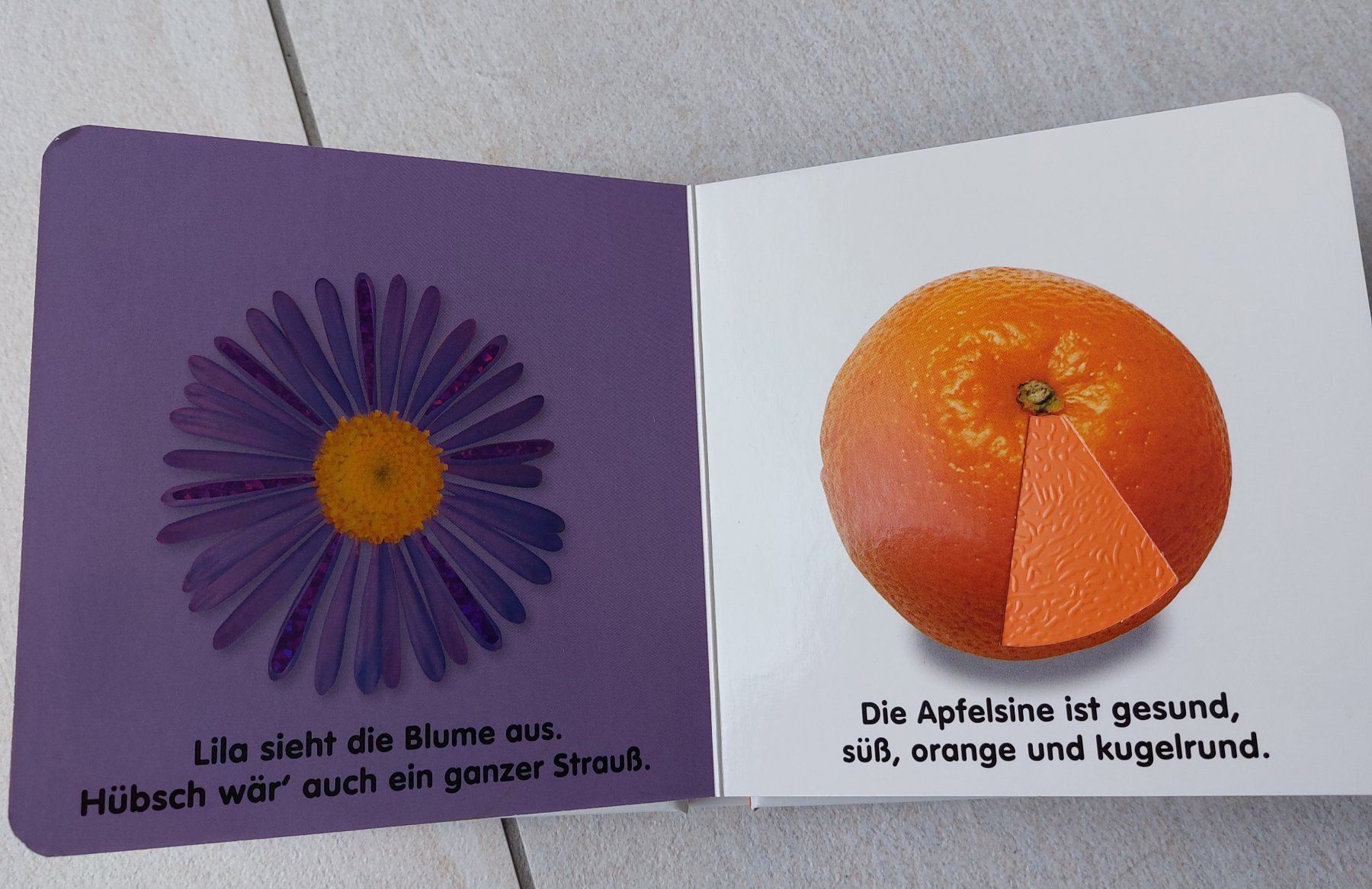 Libri: Fühlbilderbuch – Usato da Algetshausen venduto da noe_jzq2 1