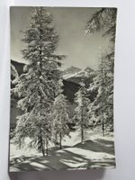 Davos , Blick auf Leidbachhorn u. Rhinerhorn 1964