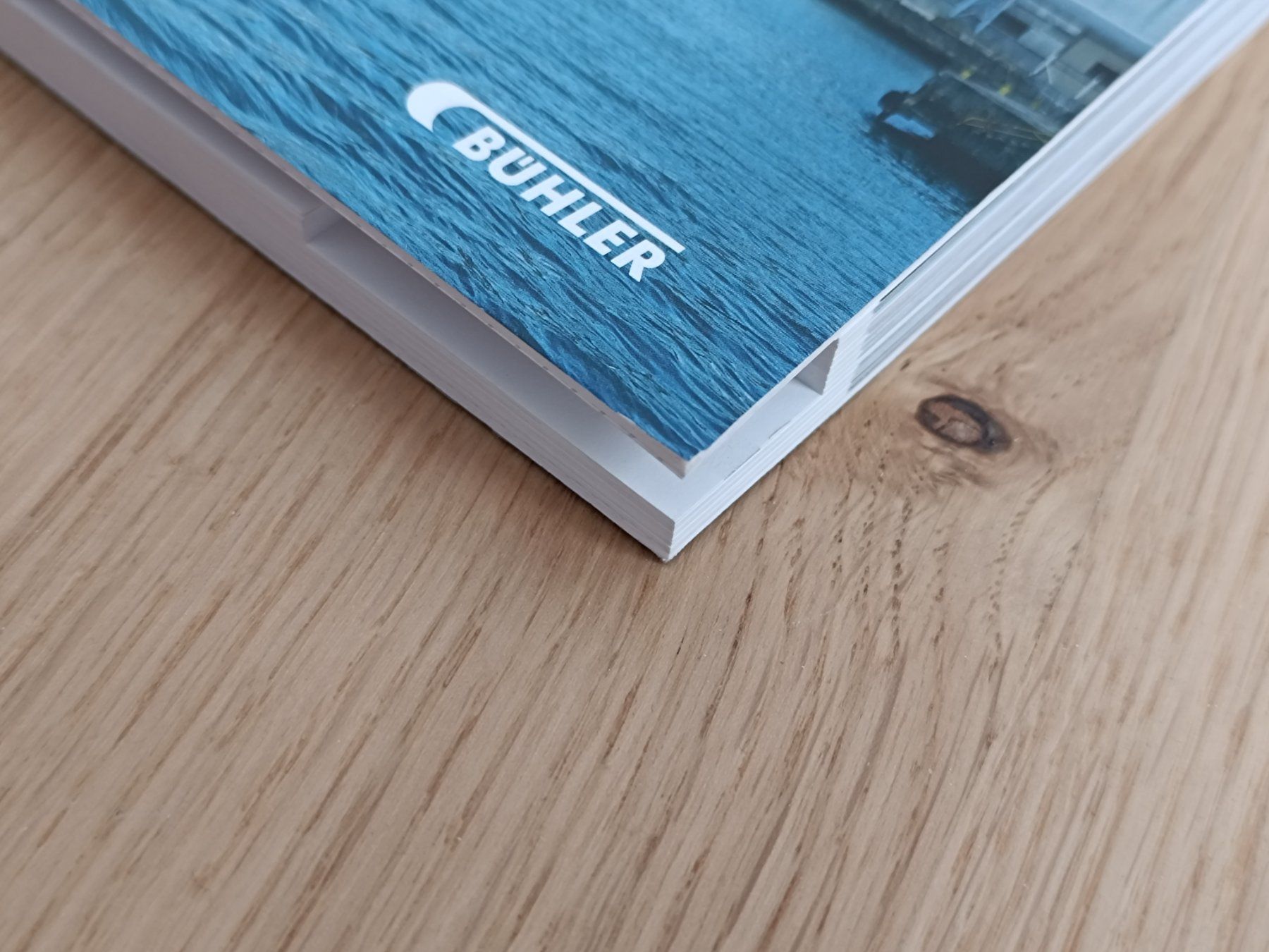 Libri: Bildband: Willkommen bei Bühler – Usato da Ibach venduto da Rhv 1