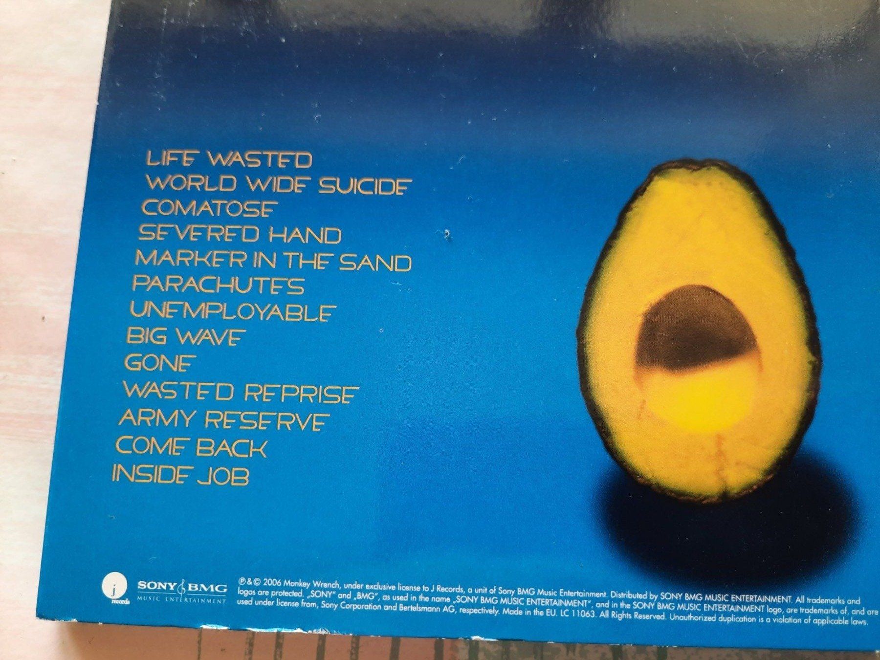 CDs: CD Pearl Jam – Gebraucht aus Pully von bro_n52j 2