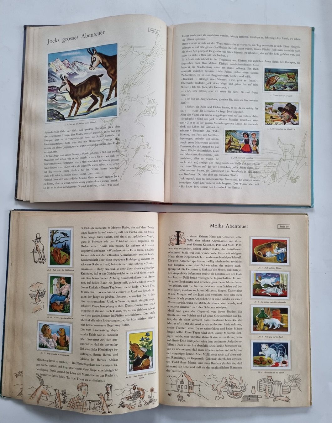Libri: 2 nostalgische Tiermärchen-Bücher, Retro – Usato da Opfikon venduto da Diversamente 6