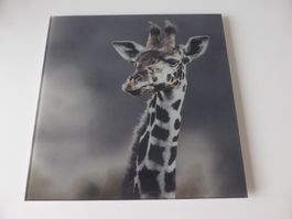 Glasbild 30x30 Giraffe