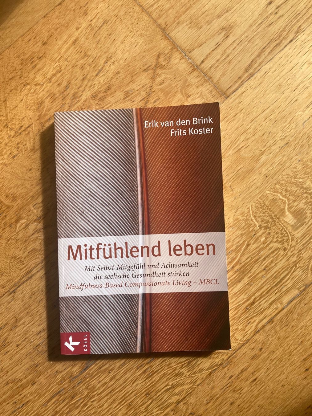 Libri: Buch Mitfühlend Leben MBCL – Usato da Bern venduto da NAJAW85