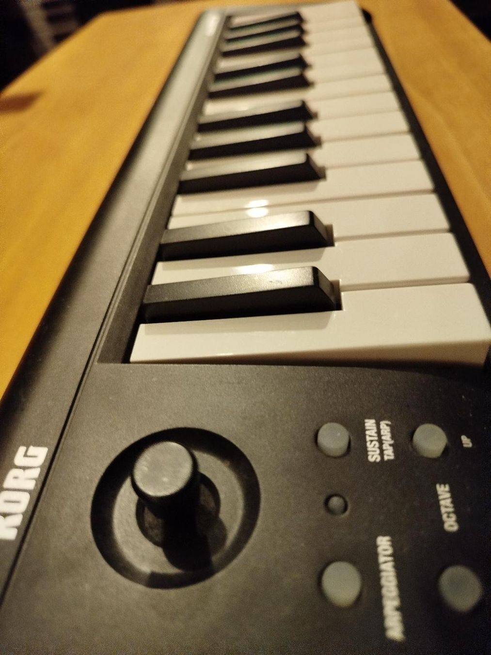 Korg Strumenti musicali: KORG MicroKey 25, sehr gut erhalten – Usato da Bonaduz venduto da Mikebond 1