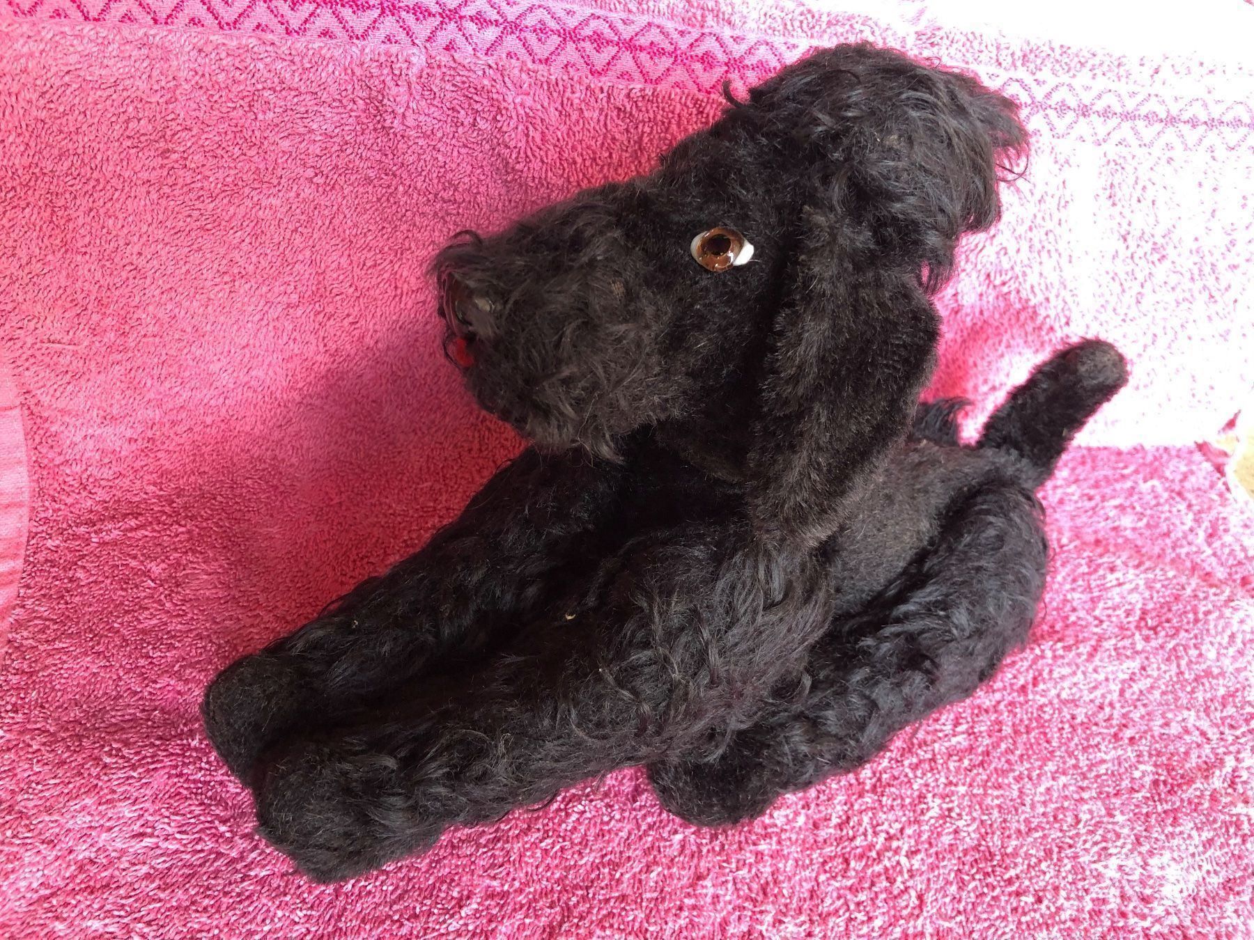 Giocattoli: Pudel vollbeweglich alt hund – Usato da Reinach AG venduto da rares75 1