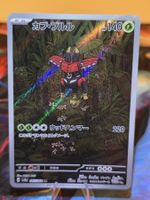 Kapu-Toro (sv6a 065)
