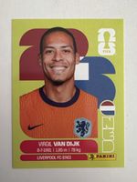 Panini NED 3