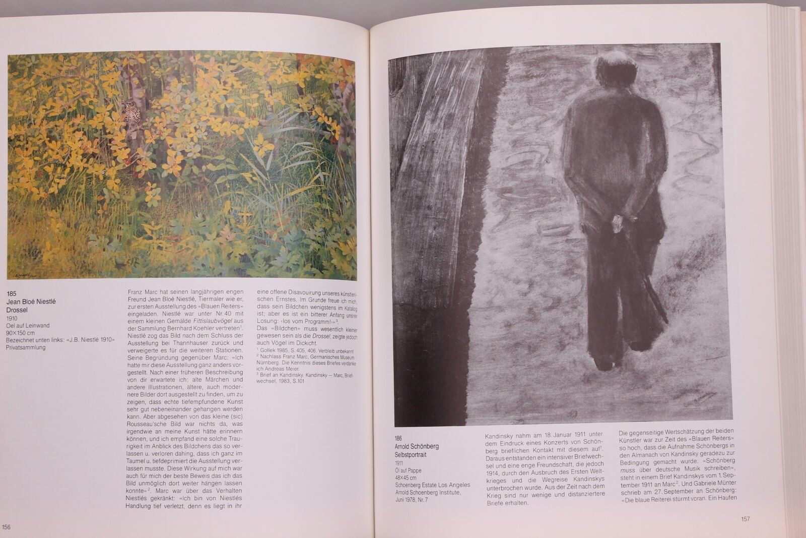 Libri: BUCH MALER WERNER WITSCHI – Usato da Ostermundigen venduto da wini63 1