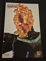 LES TRÉSORS DE MARVEL 1973 COMICS VINTAGE FRANÇAIS BD