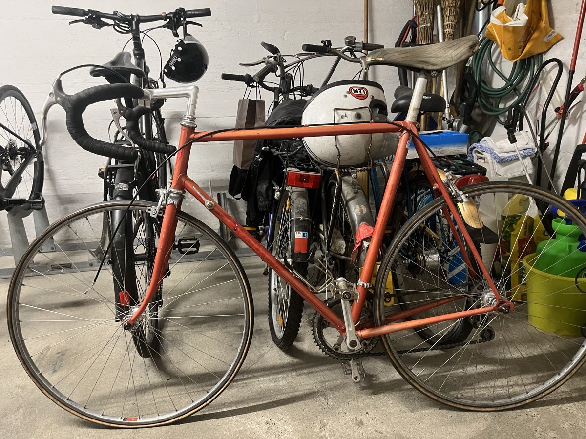 langarm rennrad trikot damen Rennrad-Trikot - Schwarz Size:iPhone 8 Plus Qualität und ein schlichtes Guilty Gear Wiki - 2019-2026