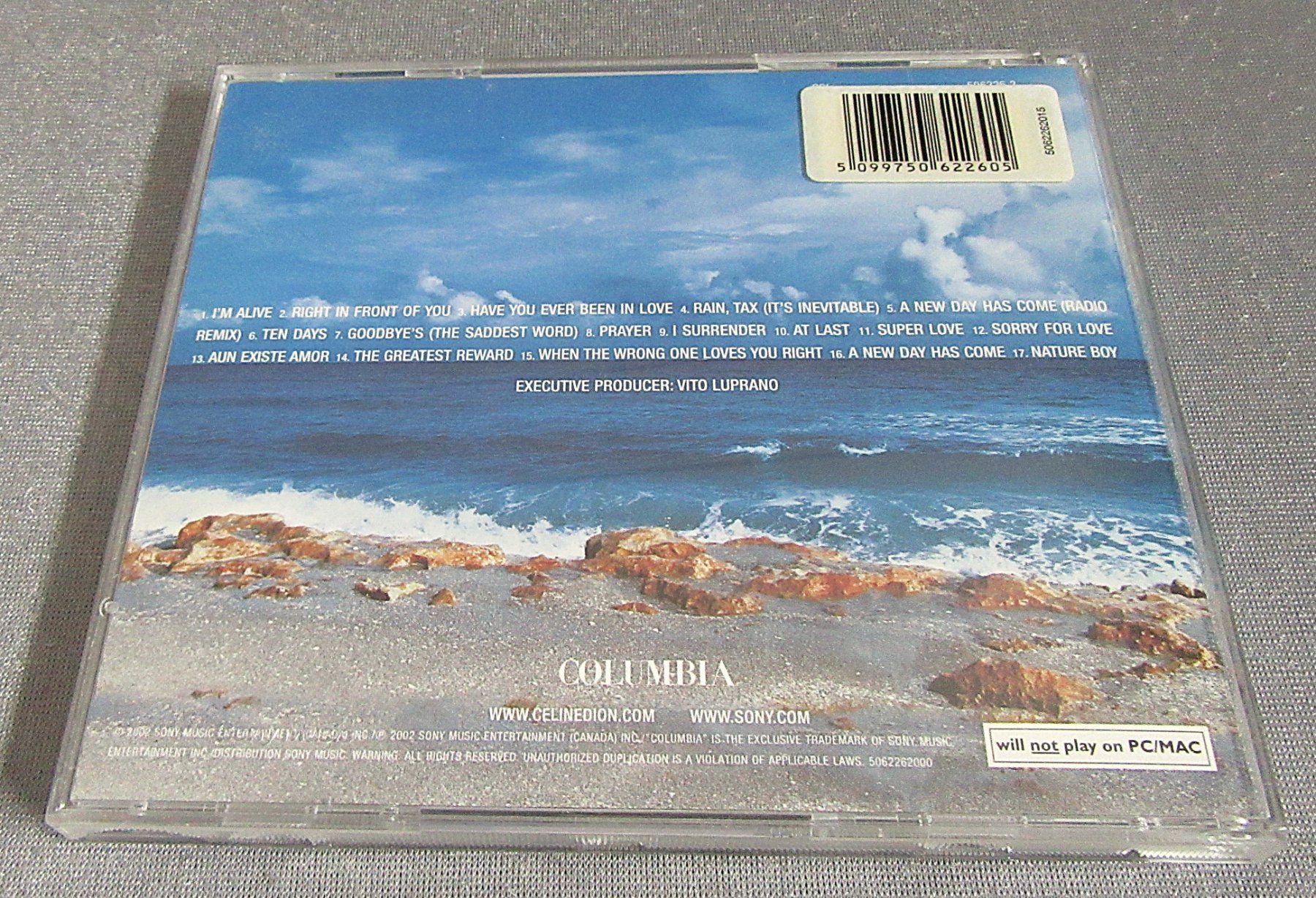 CDs: CD - Celine Dion - A New Day Has Come – Gebraucht aus Auenstein von Padabimbim 1