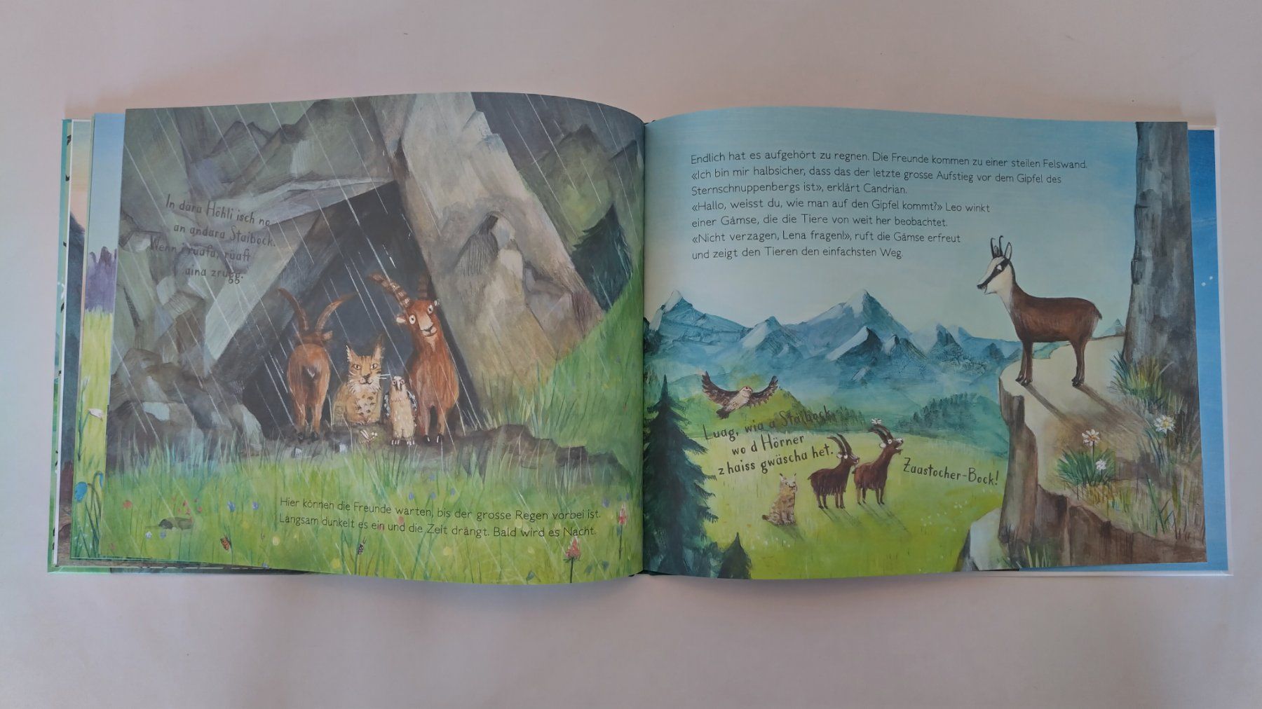 Bücher: Die Steinböcke Gian + Giachen  und der Sternschnuppenberg – Gebraucht aus Bellach von JingleJerry 5