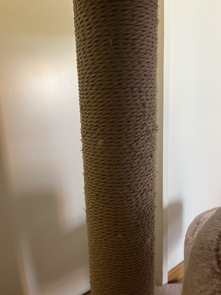 Tiragraffi: Katzenbaum Rosa Petrebel – Usato da Zürich venduto da Coala365 3