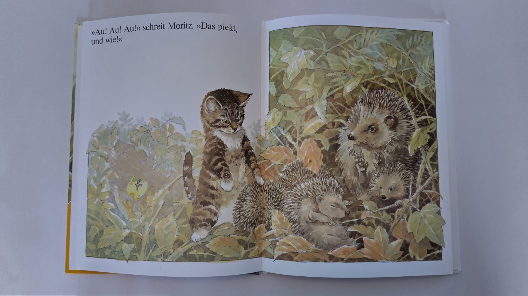 Livres: Moritz, Katzenkind / Katzen Bilderbuch mit Gucklöcher – D'occasion à Bellach par JingleJerry 3