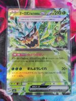 Pokemon Teal Mask Ogerpon ex RR 017/193 Mega Dream Ex JP