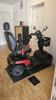 Elektroroller Mobilitätsroller neuwertig, wenige Kilometer