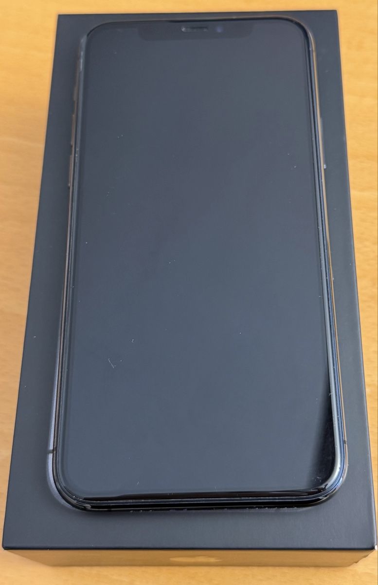 Apple Telefoni cellulari / Smartphones: Iphone 11 Pro 256 GB Space Grey – Usato da Horn venduto da Bestia-Italiana 1