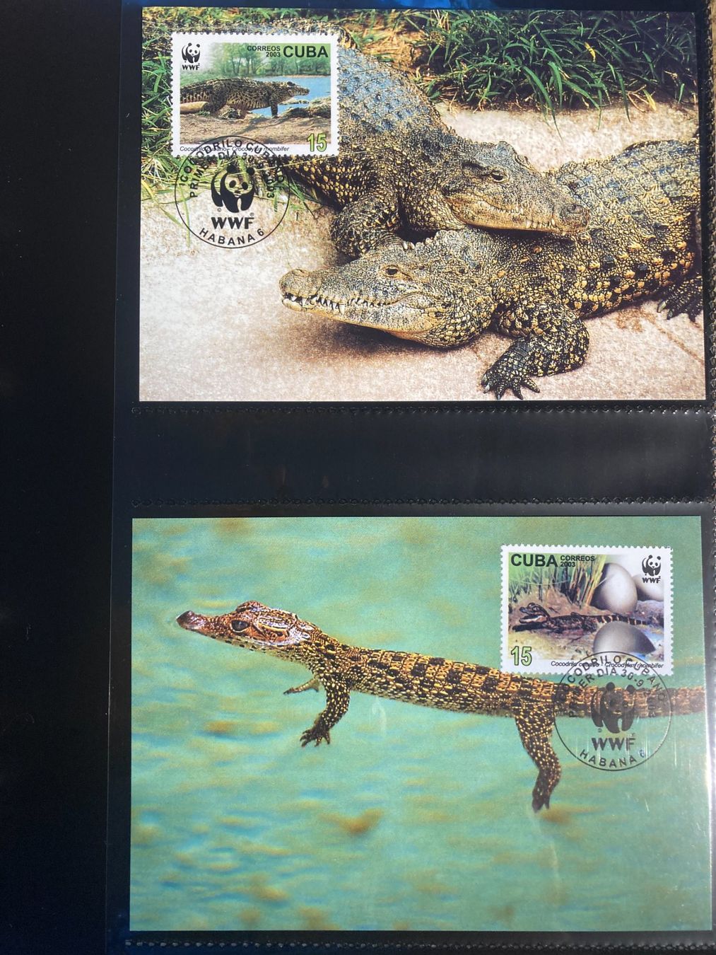 Alle Briefmarken: Kuba 2003 Satz WWF Rautenkrokodil Maximumkarten – Neu (gemäss Beschreibung) aus Liestal von schnueps