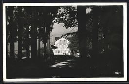 Heiden, Durchblick auf Gasthaus und Pens