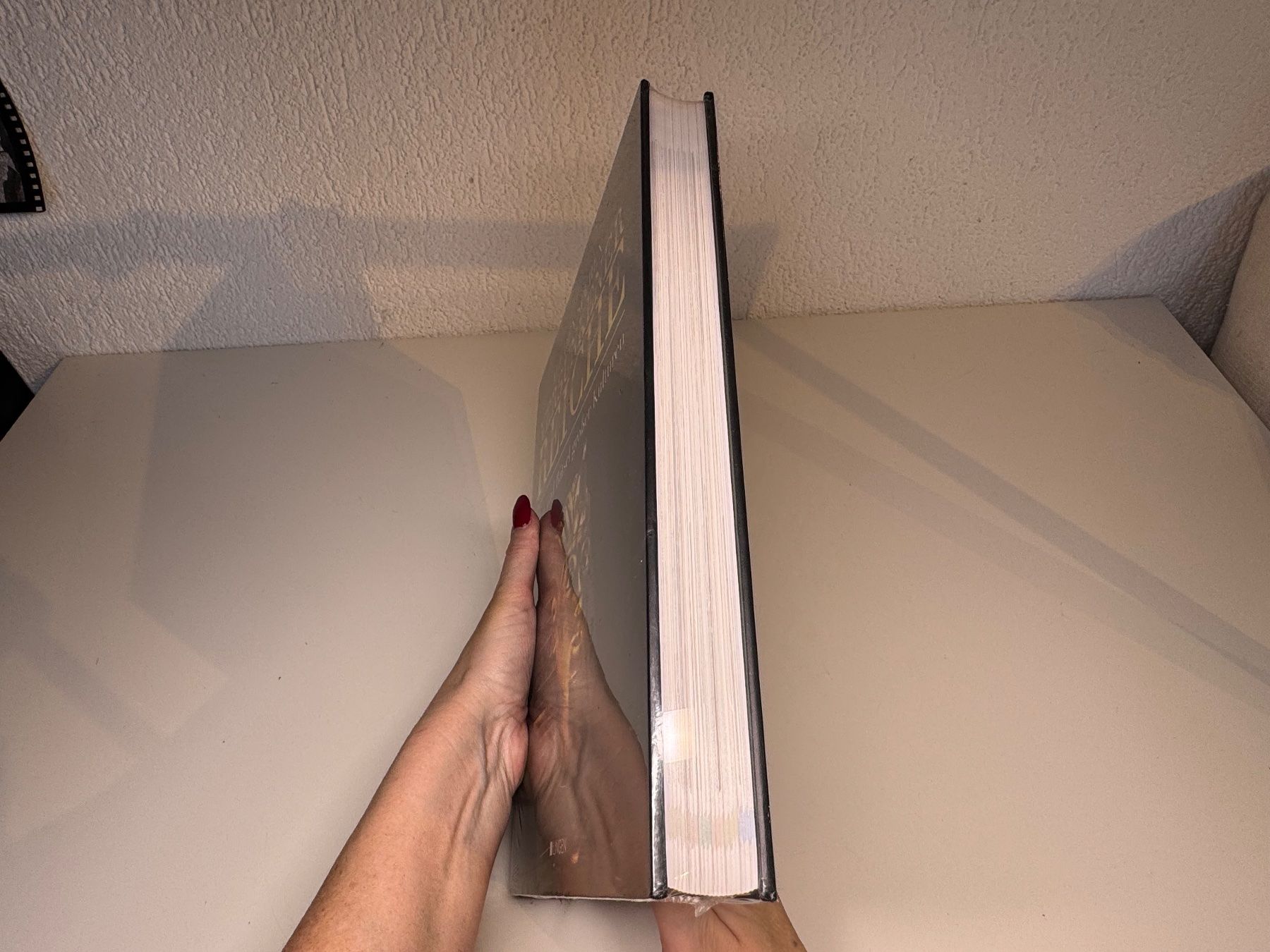 Libri: BUCH: Auf den Spuren versunkener Reiche – Nuovo e nell'imballaggio originale da Grosswangen venduto da Second_hand_paradise 1