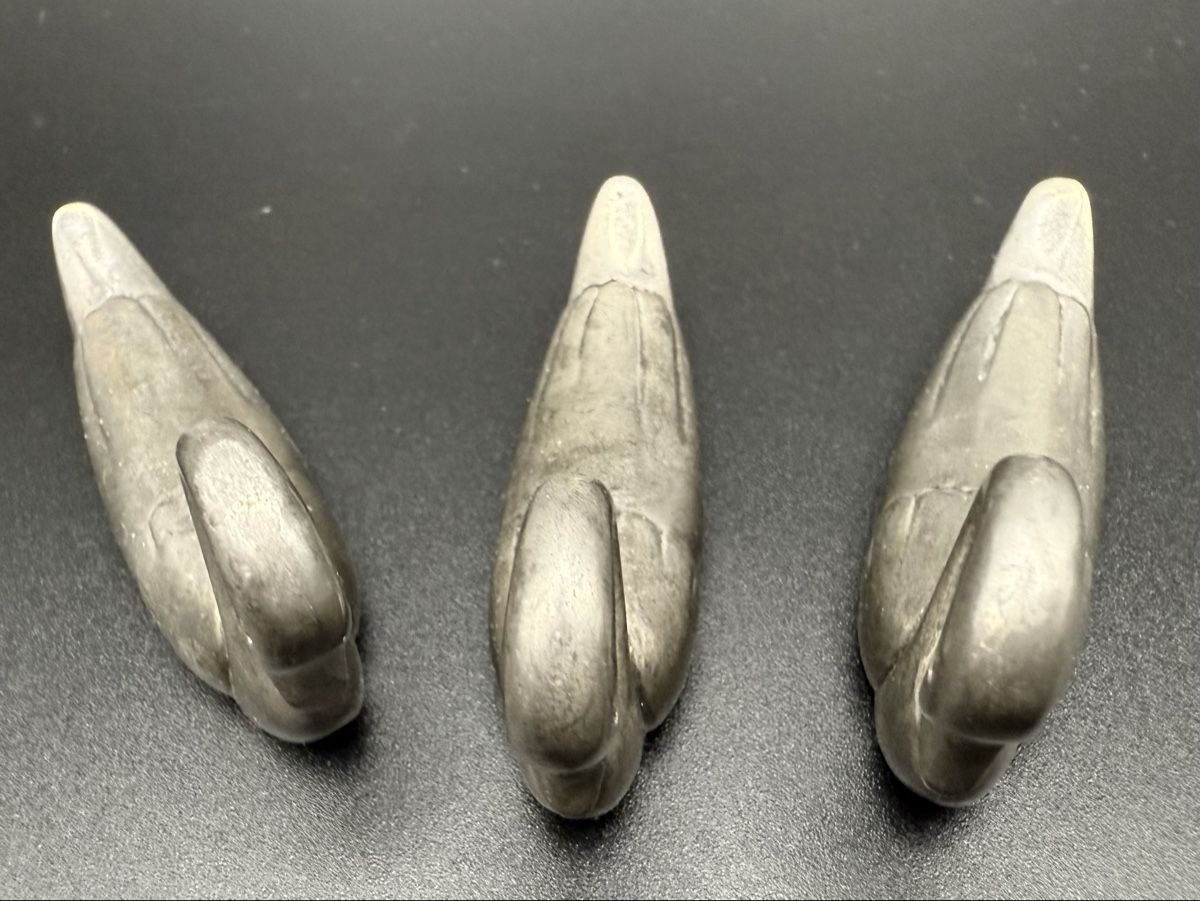 Statuette: Set mit 3 Platzhaltern in Form eines Vintage-Scweins – Usato da Lamone venduto da LaCantinaMagica 6