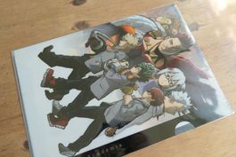My Hero Academia Anime - Clear File Mäppli