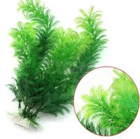 Plante d'aquarium - Vert - 30cm