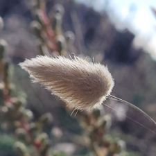 Profile image of wunderbar.11