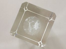 3D Glaswürfel Delfin