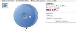 Pneumatex Heizung 80 L