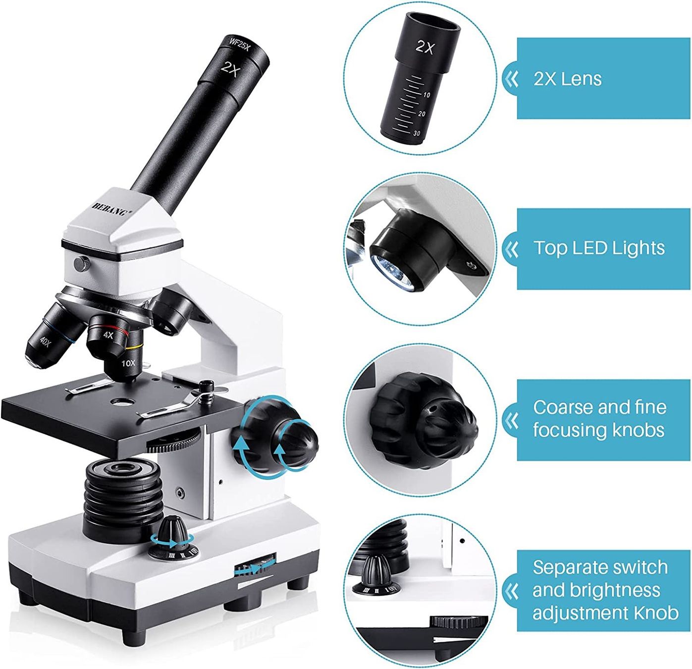 Microscopi: Mikroskop Optisch 100x-2000x mit Objektträger Set LED Licht – Nuovo e nell'imballaggio originale da Basel venduto da EchoPeak 2