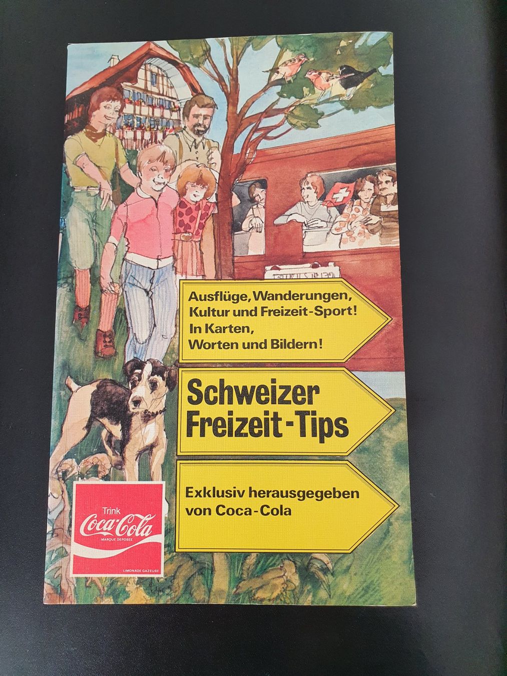Libri: Schweizer Freizeit-Tips von Coca-Cola, vintage 1976 – Usato da Zofingen venduto da Wimbledon90