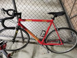 Cannondale Rennvelo 
