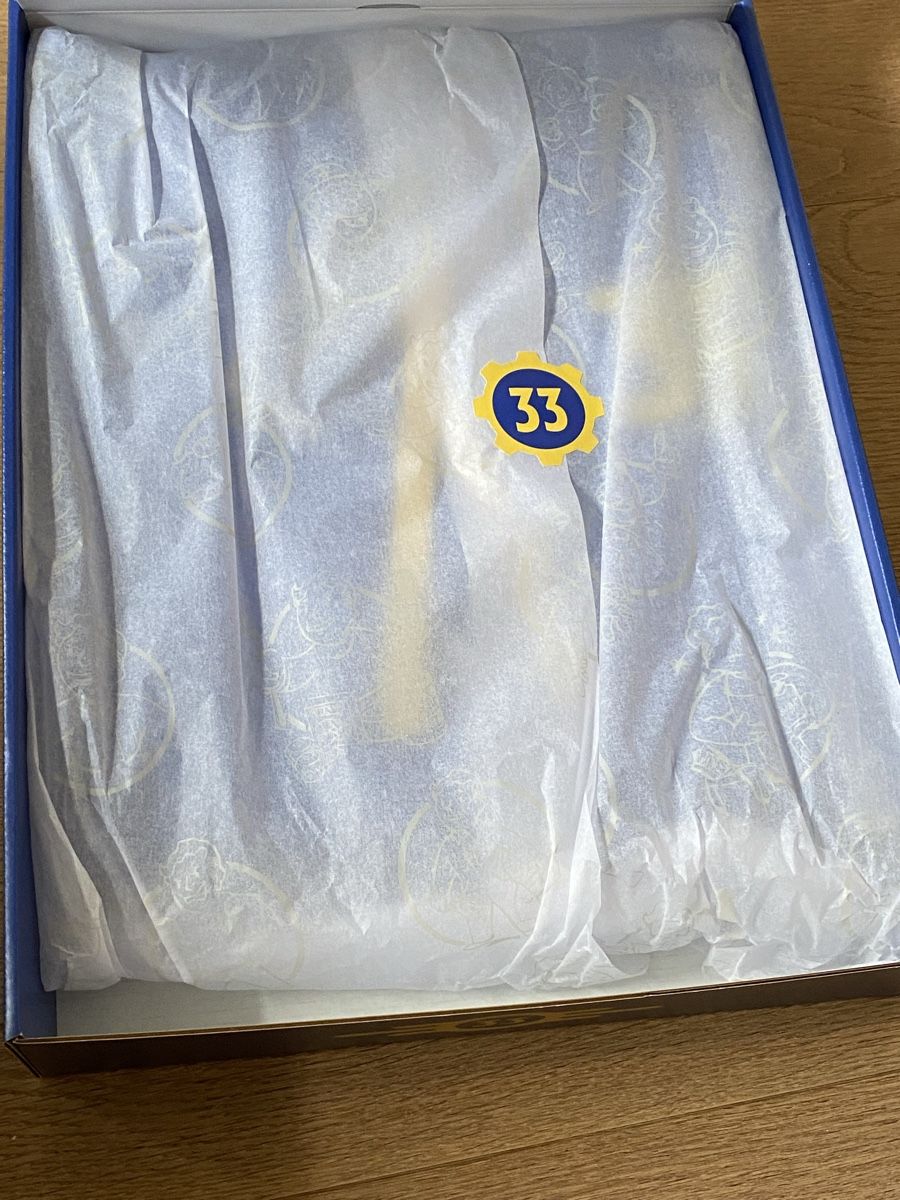 Maglioni & Felpe: Fallout Vault Dweller's Pre-Orientation Kit Limited Ed. (S) – Nuovo e nell'imballaggio originale da Zürich venduto da Yves_lk 2