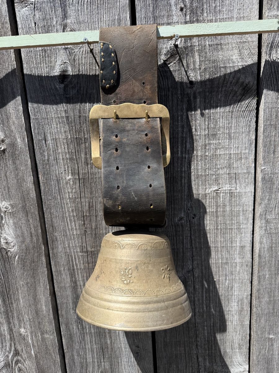 Campanacci mucche: Schöne Glocke, Peter Berger Bärau – Usato da Sargans venduto da foxtrading