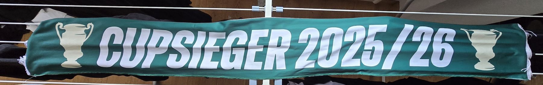 Foulard & Sciarpe: Fc St.Gallen Cupsieger Schal – Nuovo (secondo la descrizione) da St. Gallen venduto da SaintCity
